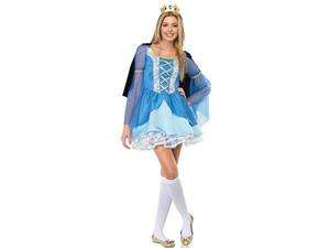   Teen Enchanted Princess Costume   Medieval and Renaissance Costumes