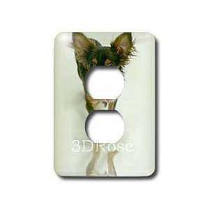  Dogs Chihuahua   Long Hair Chihuahua   Light Switch Covers 