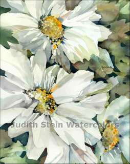 DAISY FLOWER GARDEN PATIO POTS 8 x10 Giclee Watercolor Signed Print 