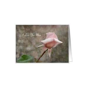  Mothers Day Mom   Pink Rose Bud Card: Health & Personal 