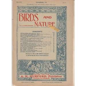  Birds and Nature November 1904 William Kerr Higley Books
