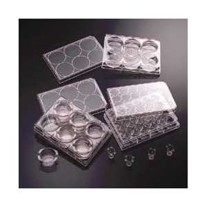   BD BioCoat Variety Pack Inserts and Multiwell Plates, BD Biosciences