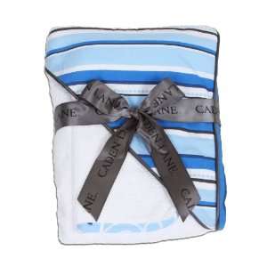 Hooded Towel   Blue Luxe Stripe