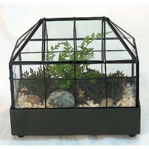 Long Gothic House Terrarium (Wardian Case) with Access Window and Live 