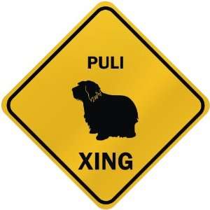  ONLY  PULI XING  CROSSING SIGN DOG