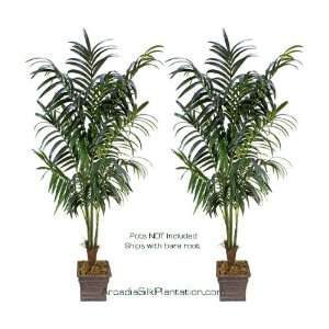   Artificial Kentia Palm Tropical Trees, with No Pot.: Home & Kitchen