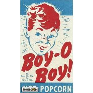 Boy Popcorn Box Movie Poster (11 x 17 Inches   28cm x 44cm) (0) Style 