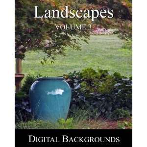   Volume 3   Digital Photography Backgrounds Backdrops
