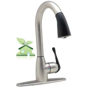 cleanFLO Eco Friendly Stainless Brushed Nickel Kitchen Faucet With 