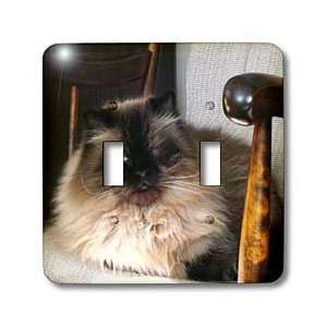 WhiteOak Photography Cats   Siamese Cat   Light Switch Covers   double 